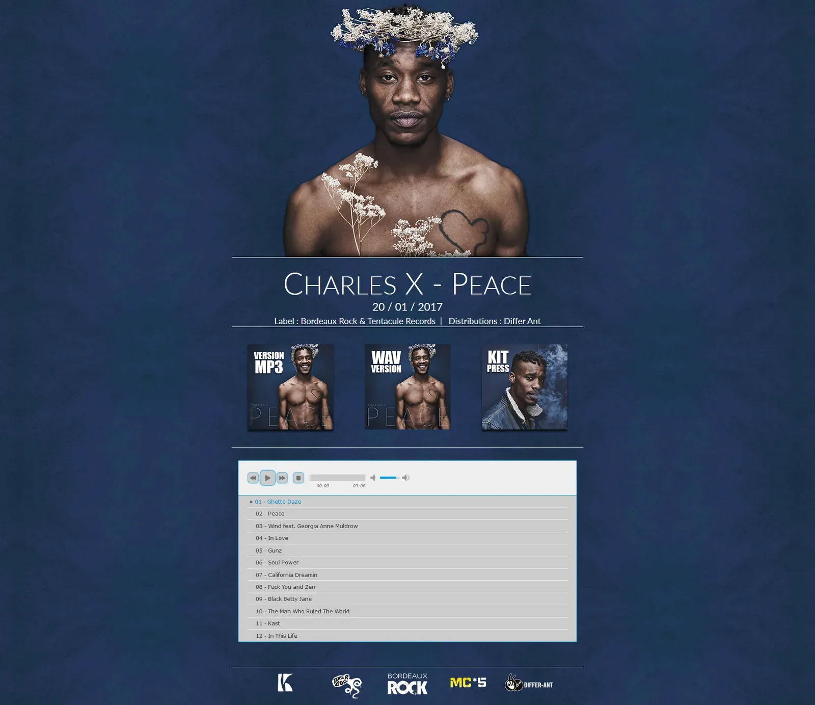 Electronic Press Kits pour un label de musique — écran 6